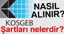 KOSGEB Başvuru Şartları Gerekli Evraklar ve Formu