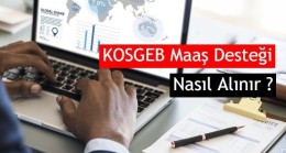 KOSGEB Maaş Desteği Nedir? Şartları ve Başvuru