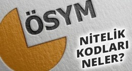 6199 Nitelik Kodu Nedir? Kimleri Kapsar?