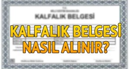 Kalfalık Belgesi Nasıl Alınır? Şartları Nelerdir?