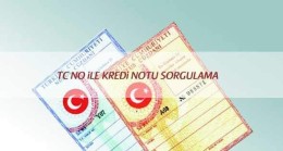 T.C. Kimlik No ile Kredi Notu Nasıl Sorgulanır?