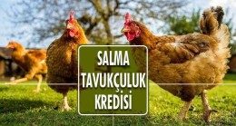 Devlet Destekli Salma Tavukçuluk Kredisi