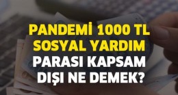 Yardım Kapsam Dışına Çıktı Ne Demek?