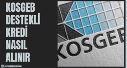 Kosgeb Destekli Kredi Nasıl Alınır? Hibe Desteği