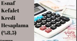 Esnaf Kefalet Kredi Hesaplama (%8,5)