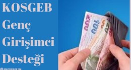 KOSGEB Genç Girişimci Desteği