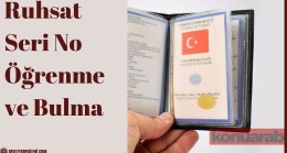 Ruhsat Seri No Öğrenme ve Bulma