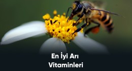 En İyi Arı Vitaminleri