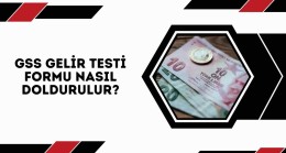 GSS Gelir Testi Formu Nasıl Doldurulur?