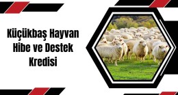 İpek Böceği Yetiştiriciliği Devlet Desteği