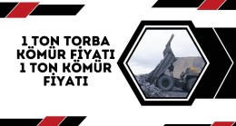 1 Ton Torba Kömür Fiyatı- 1 Ton Kömür Fiyatı