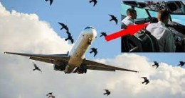 Kuşlar uçağın peşini bırakmadılar
