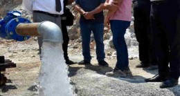 100 TIR’ı dolduracak kadar büyük