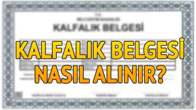 Kalfalık Belgesi Nasıl Alınır? Şartları Nelerdir?