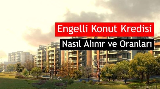Eczanede Satılan Güvercin Vitaminleri