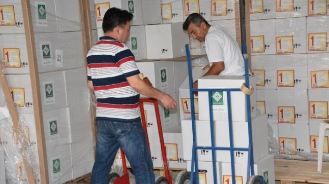 Osmaniye Belediyesi Yardım Başvurusu (Gıda ve Para Yardımı)
