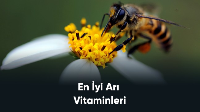 En İyi Arı Vitaminleri