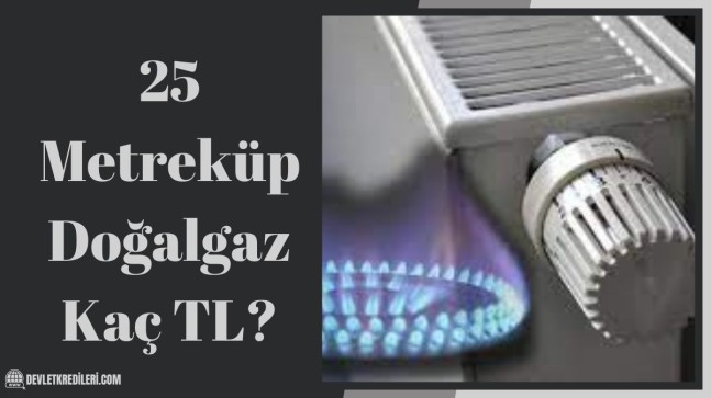 25 Metreküp Doğalgaz Kaç TL?