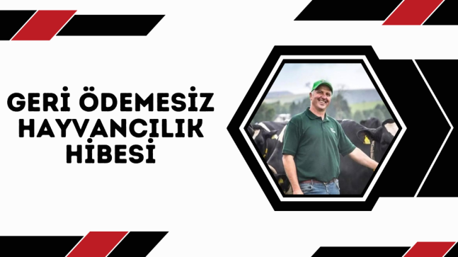 Geri Ödemesiz Hayvancılık Hibesi