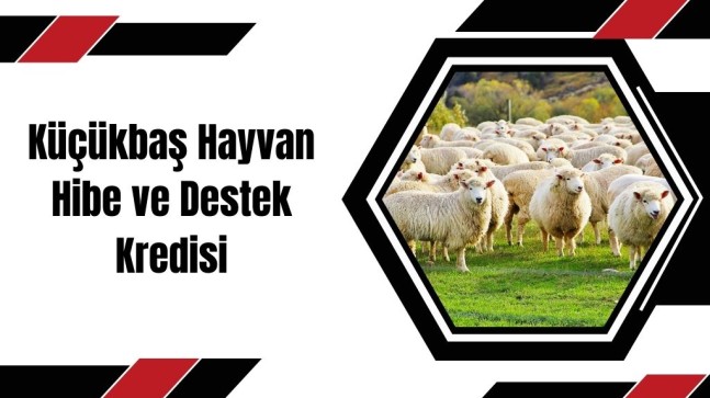 İpek Böceği Yetiştiriciliği Devlet Desteği