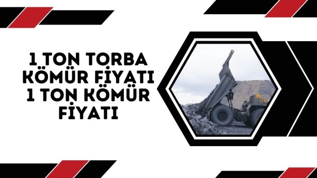 1 Ton Torba Kömür Fiyatı- 1 Ton Kömür Fiyatı