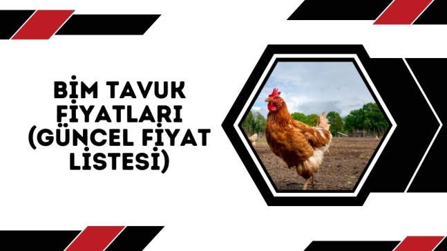 BİM Tavuk Fiyatları (Güncel Fiyat Listesi)