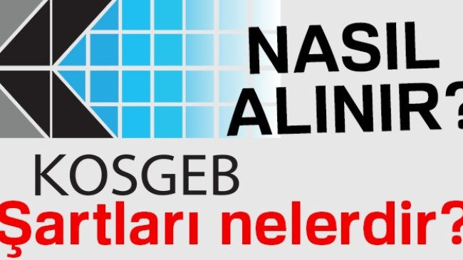 KOSGEB Başvuru Şartları Gerekli Evraklar ve Formu