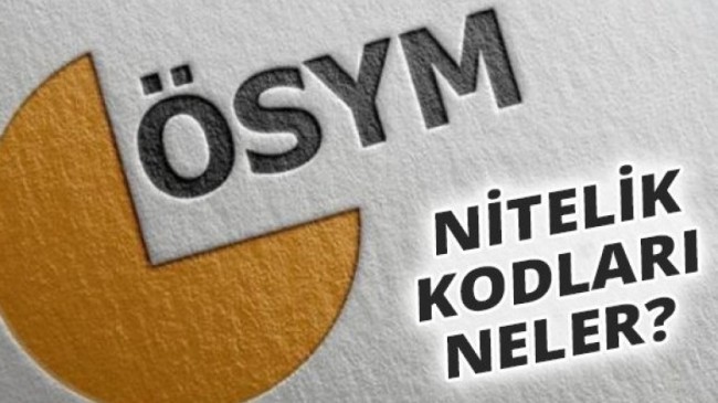 6199 Nitelik Kodu Nedir? Kimleri Kapsar?