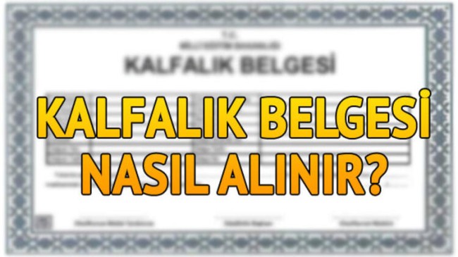 Kalfalık Belgesi Nasıl Alınır? Şartları Nelerdir?