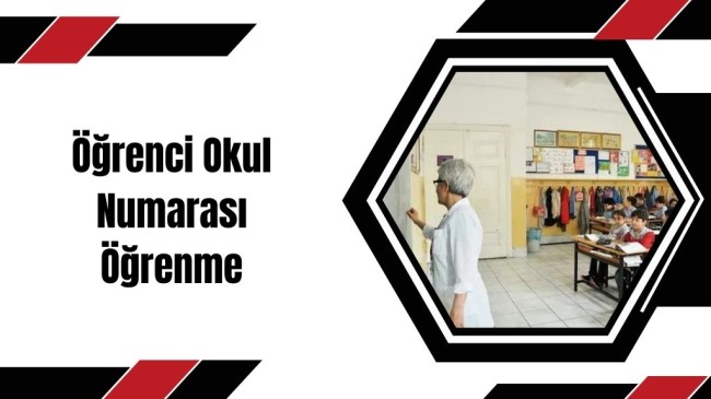 Öğrenci Okul Numarası Öğrenme