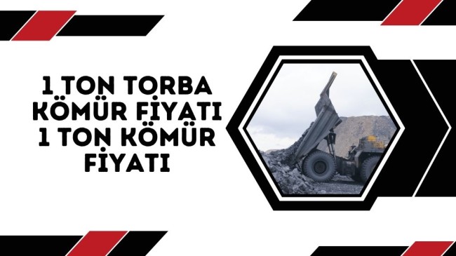 1 Ton Torba Kömür Fiyatı- 1 Ton Kömür Fiyatı
