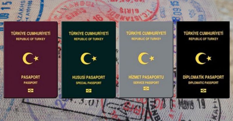 Pasaport Türleri, Çeşitleri ve Özellikleri