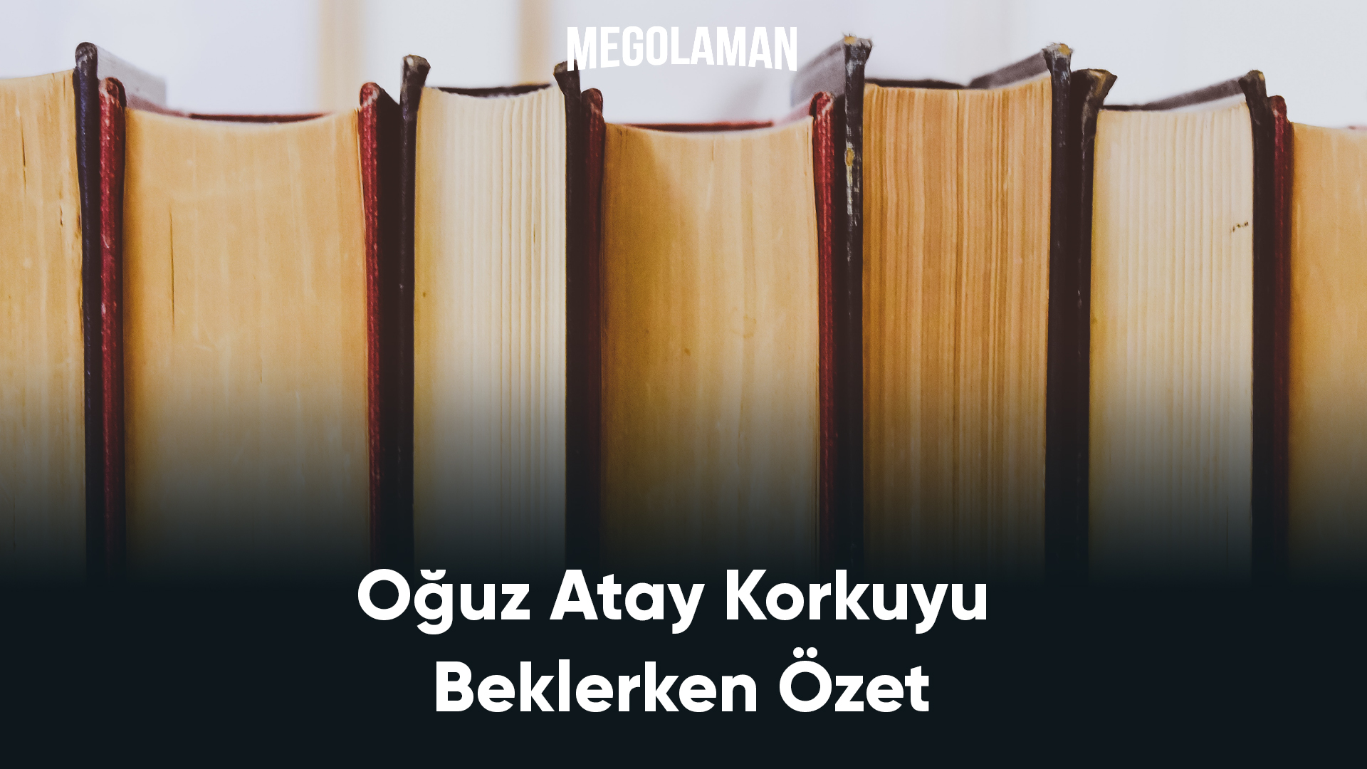 Oğuz Atay Korkuyu Beklerken Özet