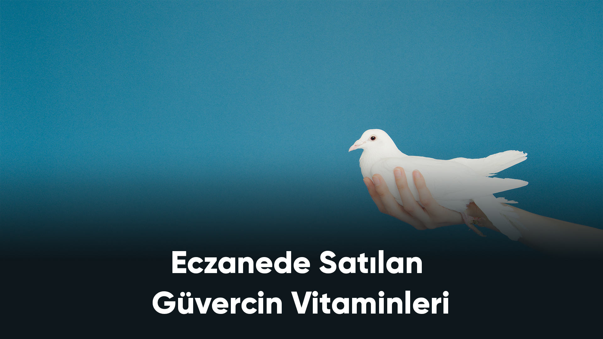 Eczanede Satılan Güvercin Vitaminleri