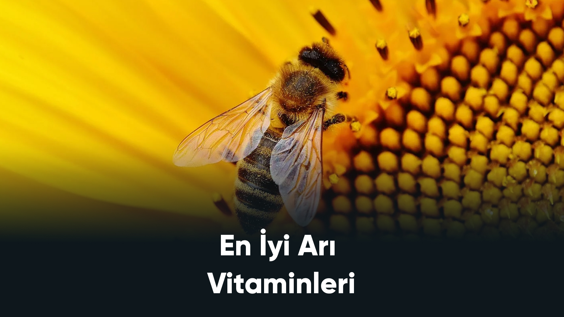 En İyi Arı Vitaminleri