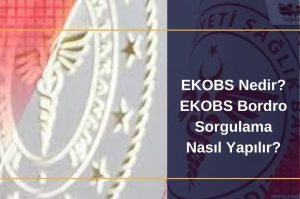 EKOBS Nedir EKOBS Bordro Sorgulama Nasıl Yapılır